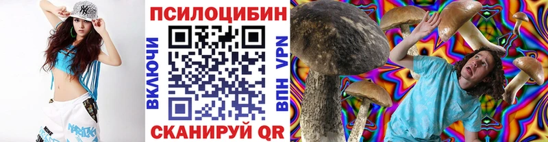 Псилоцибиновые грибы Cubensis  Купить закладки  Гаврилов Посад 
