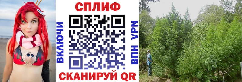 Бошки Шишки тримм  Купить  Гаврилов Посад 